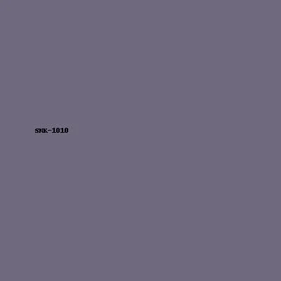 Sneaker Model 10