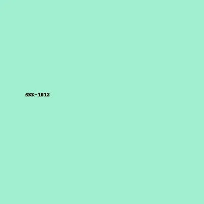 Sneaker Model 12