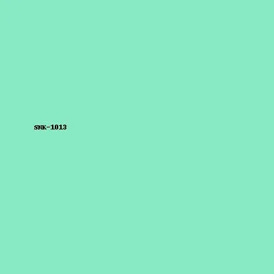 Sneaker Model 13