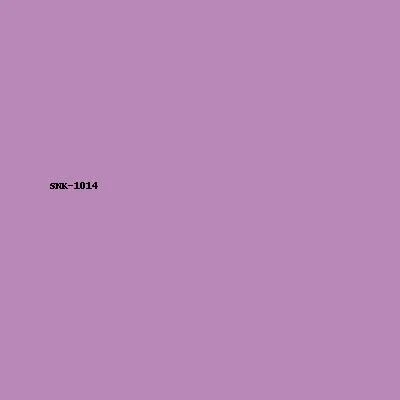 Sneaker Model 14