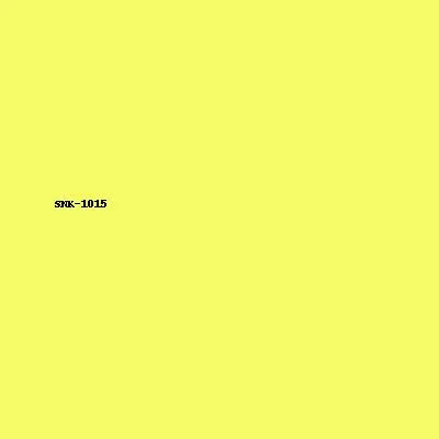 Sneaker Model 15