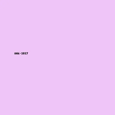 Sneaker Model 17