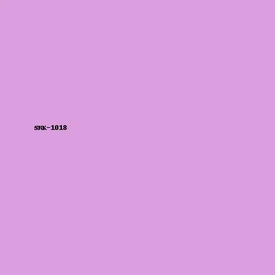 Sneaker Model 18