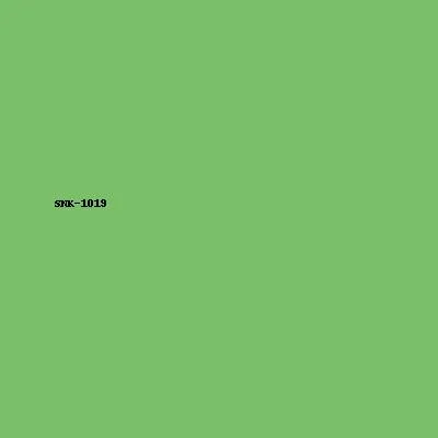 Sneaker Model 19