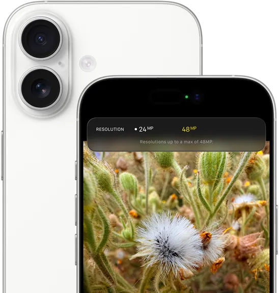 iPhone 17 48MP Dual Fusion camera system